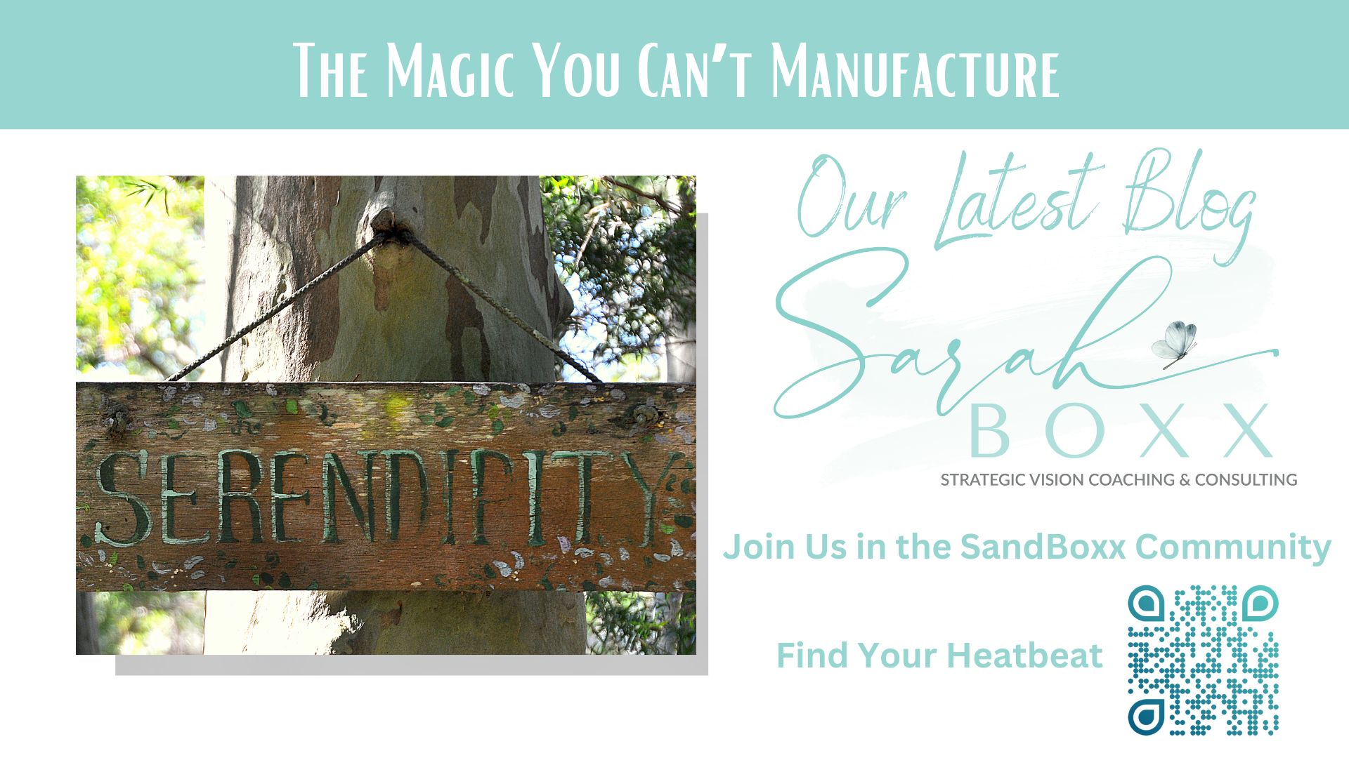 serendipity written on a sign in the woods